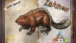 ARK‬ Survival Evolved GUIDEDeutsch  Giant Beaver  Biber  Castoroides zähmen [upl. by Anaoy]