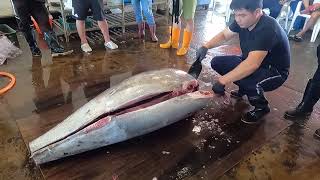 Use sharpest knife to easy cutting bluefin tuna [upl. by Luhey901]