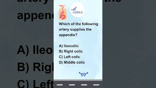 Gastrointestinal Anatomy  Drone Drill Quiz Quest  MCQ Prep Challenge  9 USMLEDrone MCQ Practice [upl. by Wonacott]