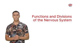 Functions and Divisions of the Nervous System [upl. by Yllor]