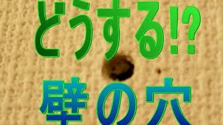 壁（石膏ボード）クロス（壁紙）のクギや画鋲の穴の補修方法 [upl. by Atin]