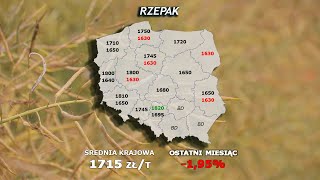 244 agro wiadomości nonstop  05032024 [upl. by Fredette]