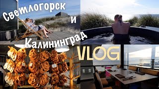 Калининград и Светлогорск  Nordic Spa и куда сходить  ВЛОГ [upl. by Annig]