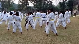 Karate yellow belt practice punch and kick [upl. by Brigg645]