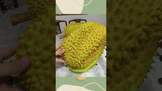 Durian Mooncake mooncake durian durianmooncake midautumn shorts short food [upl. by Ailicec167]