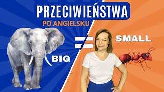 Przeciwieństwa po angielsku CZ 1  Opposite words  angielski dla dzieci [upl. by Guild]