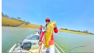 Pesca de Tucunaré na Represa Jurumirim Avaré SP [upl. by Syl]