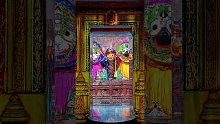 New Odia Jagannath Bhajan Status Video 🙏  Jagannath Odia Status Video shortvideo bhajan [upl. by Annaeed]