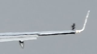 Winglet BirdStrike [upl. by Stryker985]