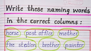 Write these naming words in the correct column [upl. by Ative204]