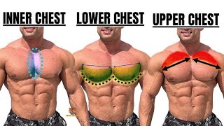 Top 4 chest workout at gym  Top chest workout  Best chest workout at ​⁠ Unseen Fitness Vision [upl. by Krissie]