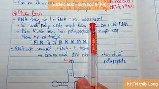 Nucleic acid DNA và RNA  Sinh học 9 P4 [upl. by Telfer]