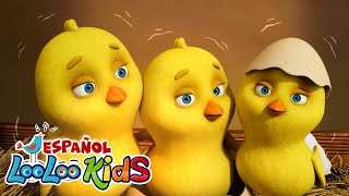 🐥 Los Pollitos Dicen Pío Pío  LooLooKidsEspanol 🎶 Canción Infantil Clásica para Niños Felices [upl. by Valerio700]