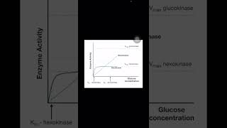 Glucokinase and hexokinase difference biochemistry firstaidusmle inicet neetpg mnemonics [upl. by Eitisahc]