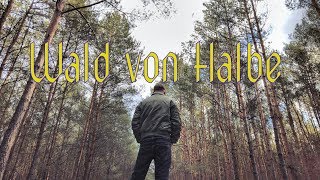 Spuren  Wald von Halbe [upl. by Oek194]