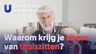 Waarom krijg je stress van thuiszitten  Erik Scherder [upl. by Eanert]