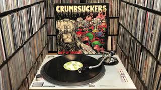 Crumbsuckers ‎quotLife Of Dreamsquot Full Album [upl. by Carmen683]