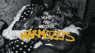 Marmozet  The Weird and Wonderful Marmozets Album Sampler [upl. by Yeliah]