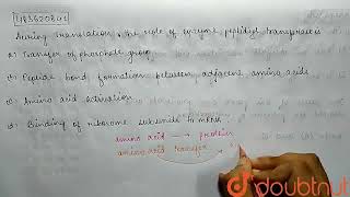 During translation  the role of enzyme peptidyl transferase is   CLASS 12  BIOMOLECULES [upl. by Tutankhamen408]