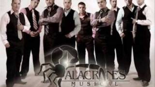 Alacranes Musical Ft Espinoza PazComo Una Gelatina 2009Completa [upl. by Lyndsie291]