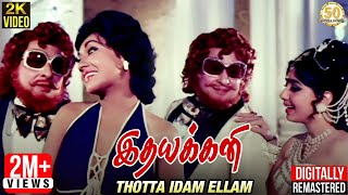 Thotta Idam Ellam Engeyo Paartha 2K Video Song Idhayakkani Tamil Movie Song  MGR  MSV [upl. by Nerrot198]