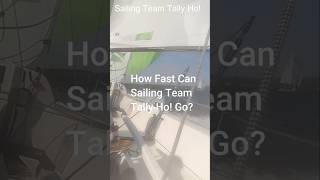 How Fast Can Team Tally Ho Go gosailing sailing sailingcommunity [upl. by Llenwad]