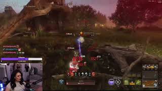 NW CLIPS OPEN WORLD PVP FUN FIGHT BOW VS MUSKEET  ROZI [upl. by Draner]