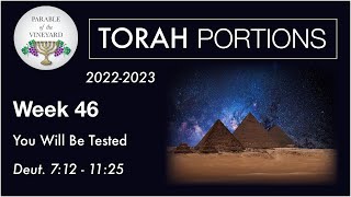 Torah Portions  Week 46  You Will Be Tested  Deuteronomy 712  1125 2223 [upl. by Annahael933]