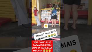 Caramelo também sente fome moça 🤣😂 shorts zedoidopostatudo [upl. by Freya567]