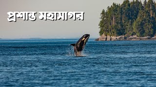 প্রশান্ত মহাসাগর  পৃথিবীর বৃহত্তম মহাসাগর  All About Pacific Ocean in Bangla [upl. by Treboh]