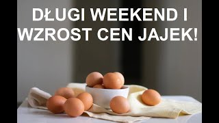 Odcinek 1481 DUŻY WZROST CEN JAJEK NA DŁUGI WEEKEND [upl. by Eannaj105]