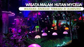 Wisata Malam Hutan Mycelia Cikole [upl. by Herodias]