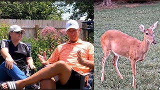 The Disappearance of Blitzen the 3Legged Deer [upl. by Annoya]