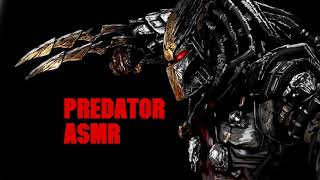 Predator ASMR 10 Min Click Sound Effect Yautja [upl. by Dionne776]