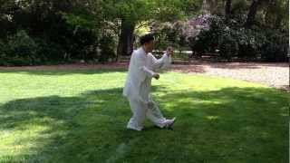 Wustyle Tai Chi 83 Postures  Jie Liang 吴氏太极拳83式  梁杰 [upl. by Annirtak]