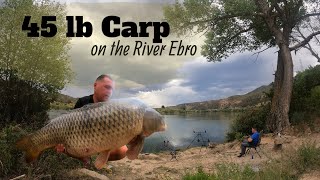 Another Incredible Weeks Fishing On the River Ebro 45 lb Carp for Tom [upl. by Chiquia909]