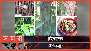 খুলনার বিখ্যাত চুইঝাল  Chui Jhal  Taste of Khulna  Traditional Food  Somoy TV [upl. by Ahsya]