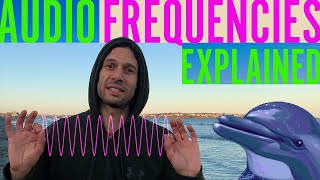 Audio Frequencies 20 Hz to 20 kHz Explained [upl. by Eelamme857]