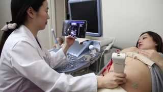 Obstetrics and Gynecology by SONON  Wireless Handheld Ultrasound [upl. by Arria]