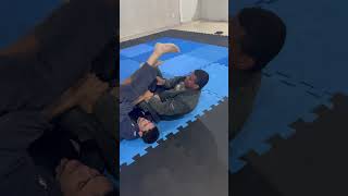 Brazilian black belt and brown belt rolling Omoplata kneebar truck reverse truck estima lock [upl. by Ydarb]