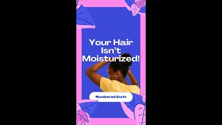 Is Your Hair Moisturized Or Just Wet [upl. by Aklam613]