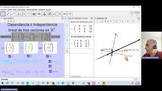 Dependencia e Independecia lineal con GeoGebra Matrices y representacion gráfica en R2 y R3 [upl. by Gamages187]