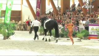 FEI World Vaulting Championships 2012  Le Mans  Individual Female [upl. by Dnalyram]