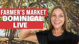 EcoFarmers Market in Dominical Costa Rica  Live Walkthrough [upl. by Vladi925]