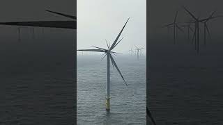 offshore  wind farm [upl. by Llehsram638]