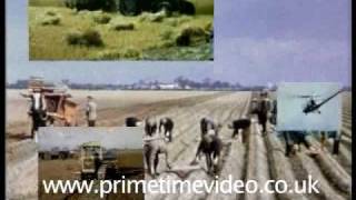 Fenland Farming 1955 DVD [upl. by Anawt]