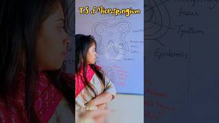 How to draw Microsporangium easily microsporangium  easy trick microsporogenesis shorts youtube [upl. by Tabbatha]