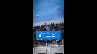 رجاوي فلسطيني  CURVA SUD 🟢🦅 [upl. by Oznole]