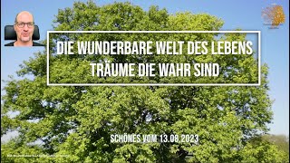 Die wunderbare Welt des Lebens Träume die wahr sind Schönes vom 130823 [upl. by Andee493]