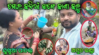 Mor Kanian Sange Kana Kalu ସୁଖୁଆ ପାତଲ୍ ଅମୁତ ଭଣ୍ଡା sambalpurivlog [upl. by Armmat]